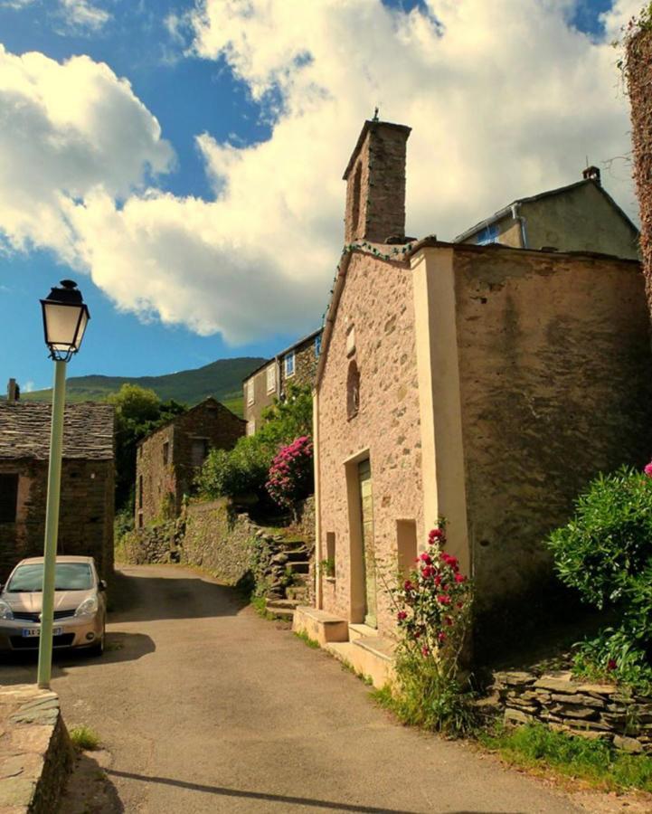 Tres Jolie Maison Aux Portes Du Cap Corse Sisco Eksteriør billede