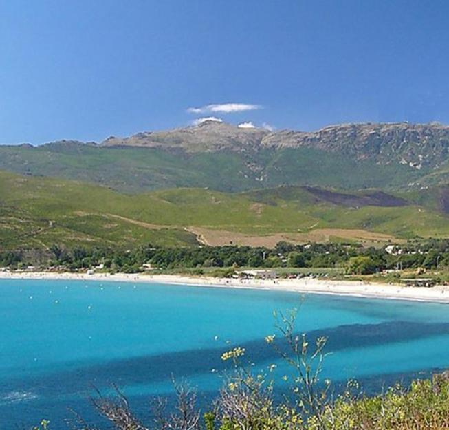 Tres Jolie Maison Aux Portes Du Cap Corse Sisco Eksteriør billede