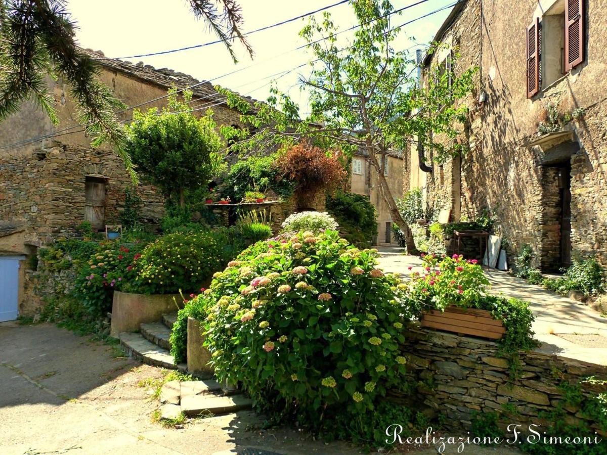 Tres Jolie Maison Aux Portes Du Cap Corse Sisco Eksteriør billede