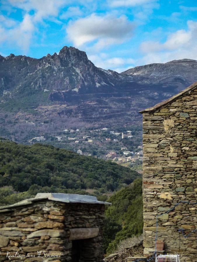 Tres Jolie Maison Aux Portes Du Cap Corse Sisco Eksteriør billede